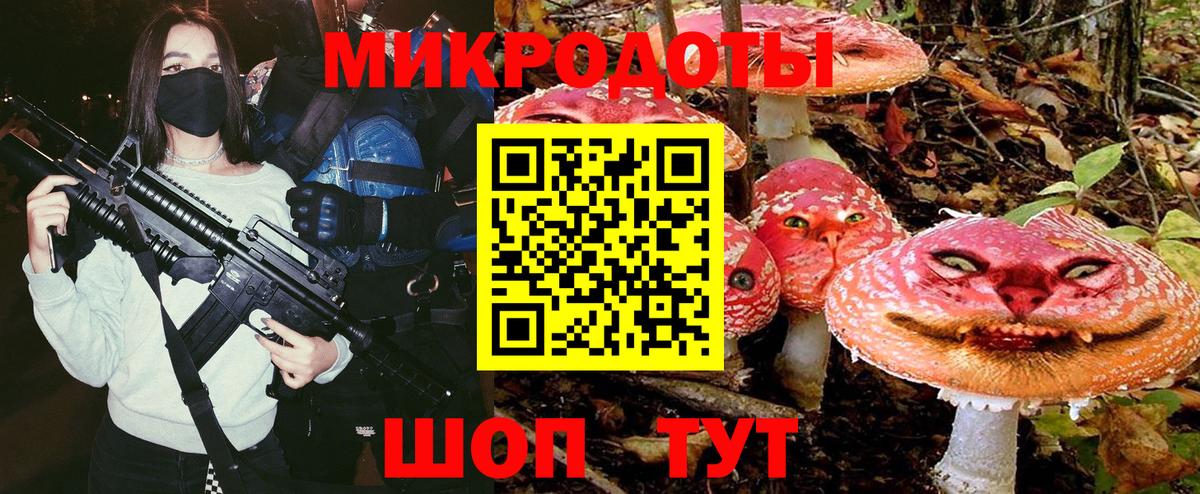 Чистополь  Псилоцибиновые грибы GOLDEN TEACHER  Вход с VPN  Псилоцибиновые грибы Cubensis 