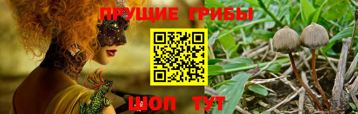 Галлюциногенные грибы MAGIC MUSHROOMS Чистополь